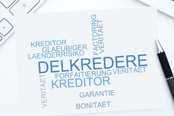 Kreditversicherung, Warenkreditversicherung, Delkredere