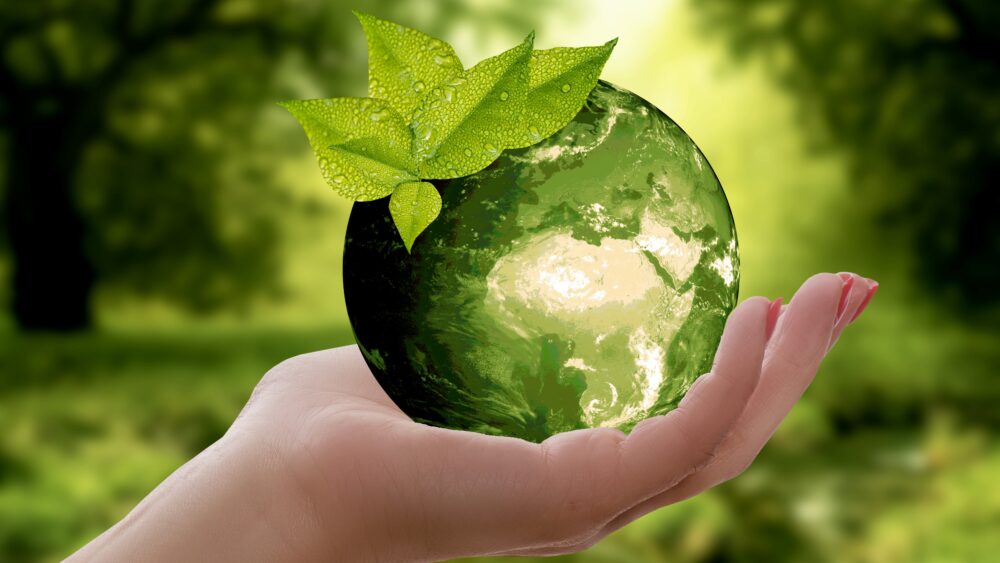 Nachhaltigkeit, Nachhaltig, Umwelt, Natur, Naturschutz, Umweltschutz