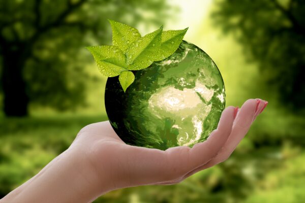 Nachhaltigkeit, Nachhaltig, Umwelt, Natur, Naturschutz, Umweltschutz
